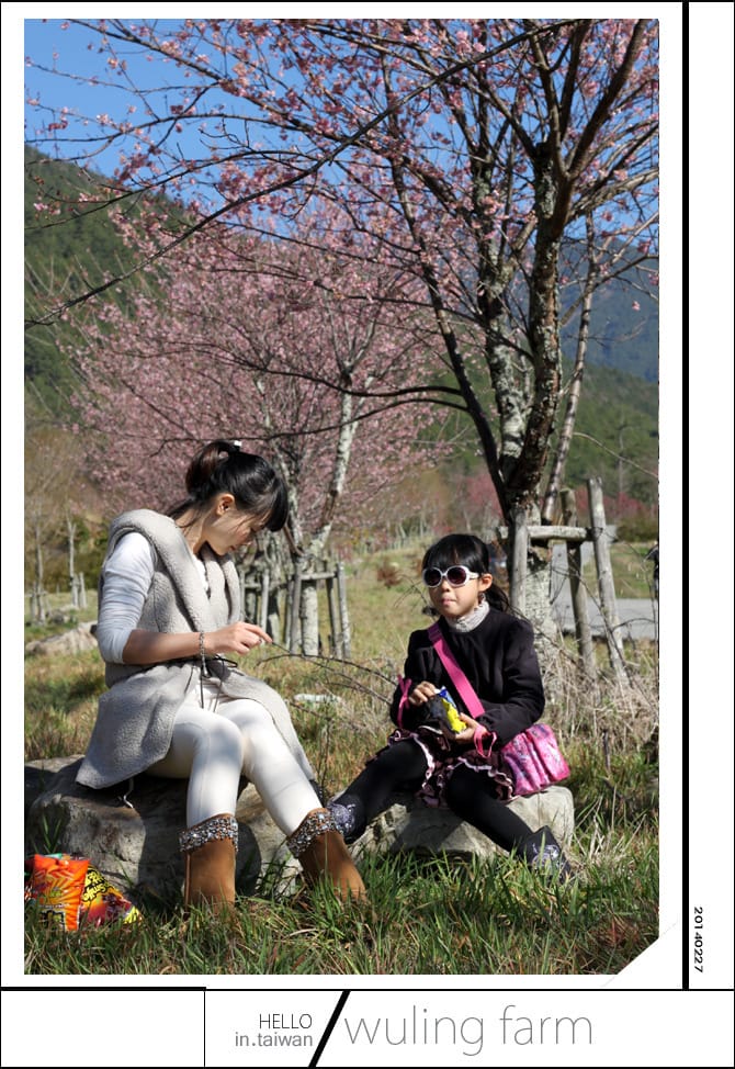 20140227武陵農場│遲而美的櫻花宴 - 第16張圖 20140227武陵農場│遲而美的櫻花宴