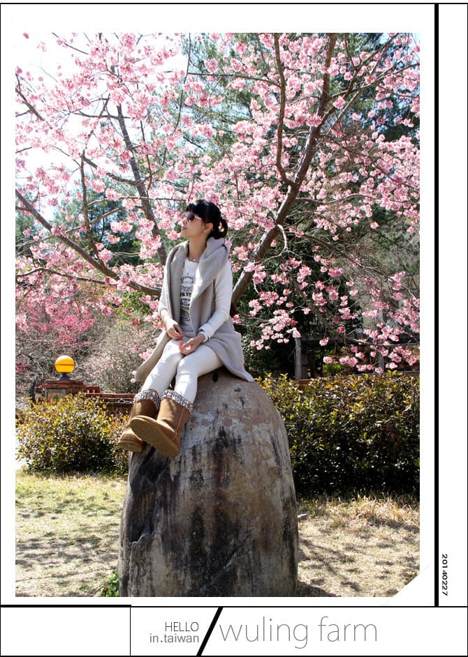 20140227武陵農場│遲而美的櫻花宴 - 第136張圖 20140227武陵農場│遲而美的櫻花宴