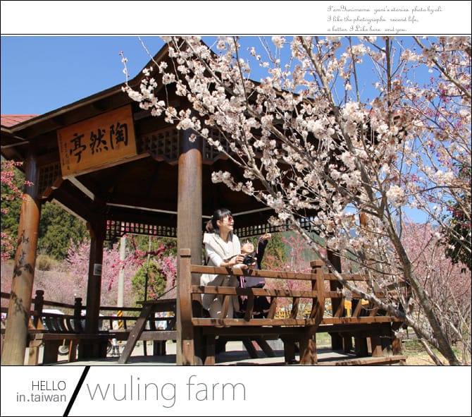20140227武陵農場│遲而美的櫻花宴 - 第82張圖 20140227武陵農場│遲而美的櫻花宴