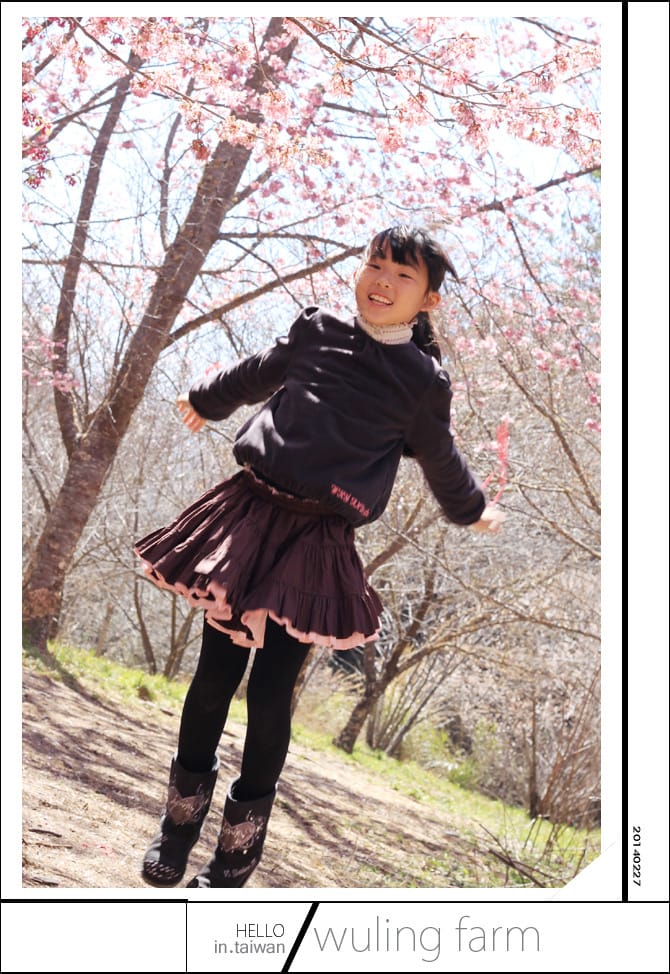 20140227武陵農場│遲而美的櫻花宴 - 第73張圖 20140227武陵農場│遲而美的櫻花宴