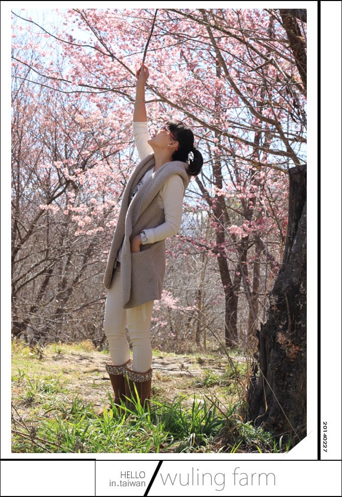 20140227武陵農場│遲而美的櫻花宴 - 第62張圖 20140227武陵農場│遲而美的櫻花宴