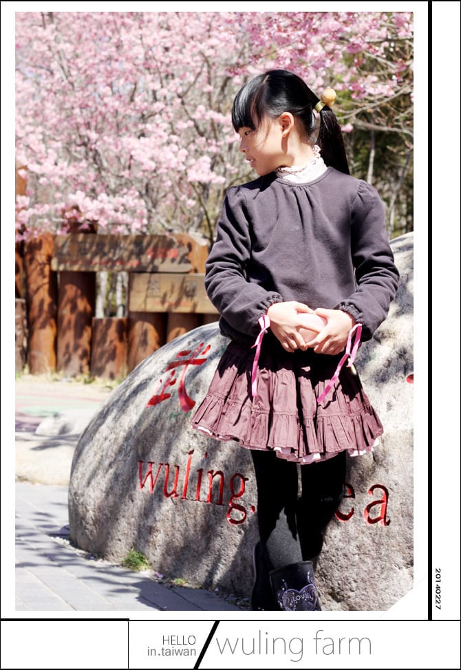 20140227武陵農場│遲而美的櫻花宴 - 第134張圖 20140227武陵農場│遲而美的櫻花宴