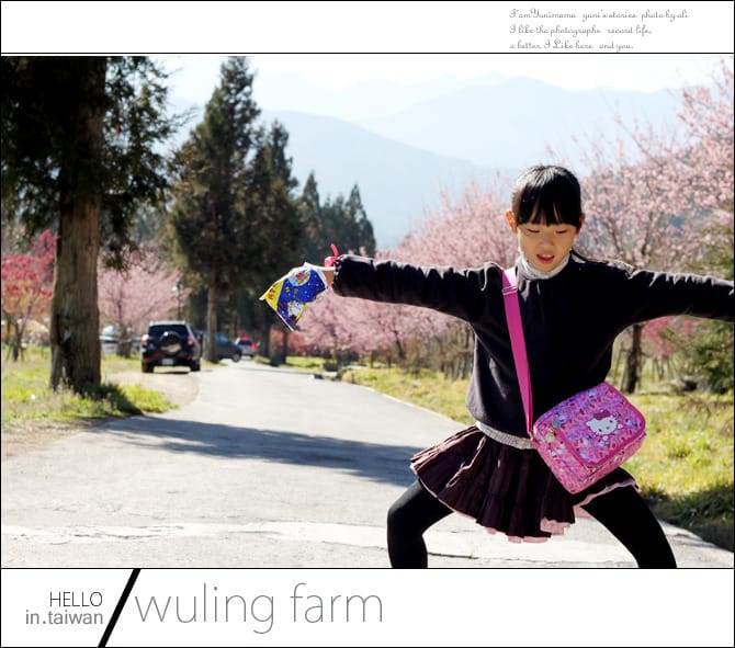 20140227武陵農場│遲而美的櫻花宴 - 第20張圖 20140227武陵農場│遲而美的櫻花宴