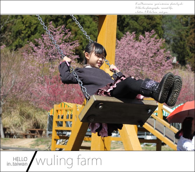 20140227武陵農場│遲而美的櫻花宴 - 第108張圖 20140227武陵農場│遲而美的櫻花宴
