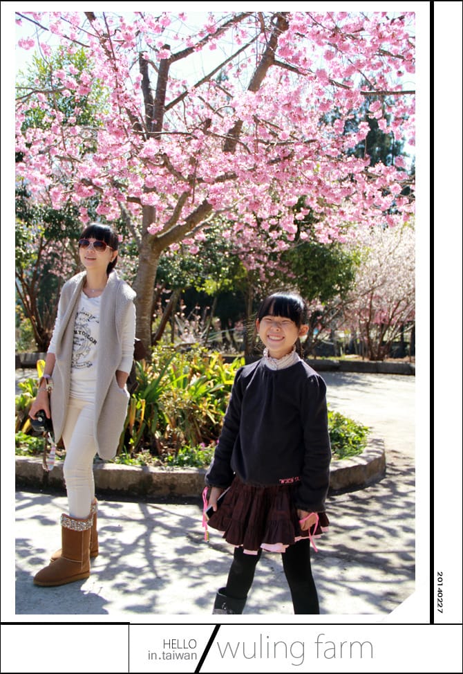 20140227武陵農場│遲而美的櫻花宴 - 第79張圖 20140227武陵農場│遲而美的櫻花宴