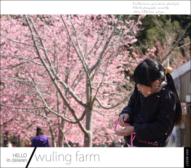 20140227武陵農場│遲而美的櫻花宴 - 第145張圖 20140227武陵農場│遲而美的櫻花宴