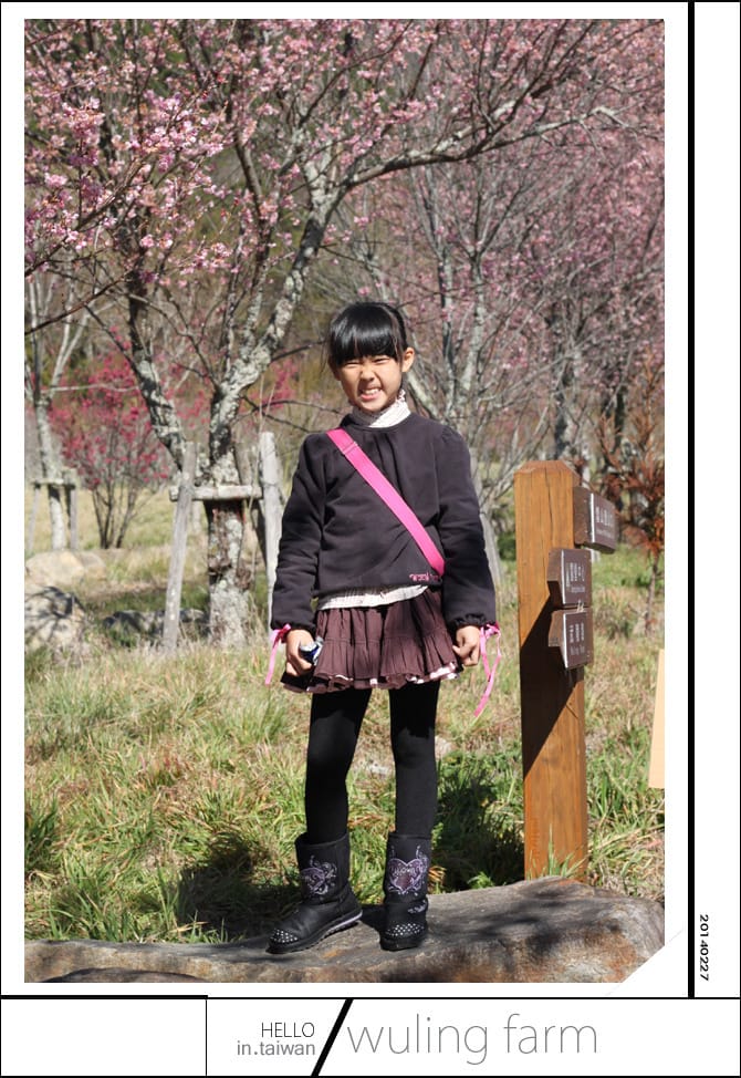 20140227武陵農場│遲而美的櫻花宴 - 第28張圖 20140227武陵農場│遲而美的櫻花宴