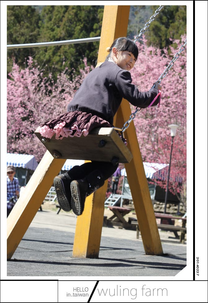 20140227武陵農場│遲而美的櫻花宴 - 第111張圖 20140227武陵農場│遲而美的櫻花宴