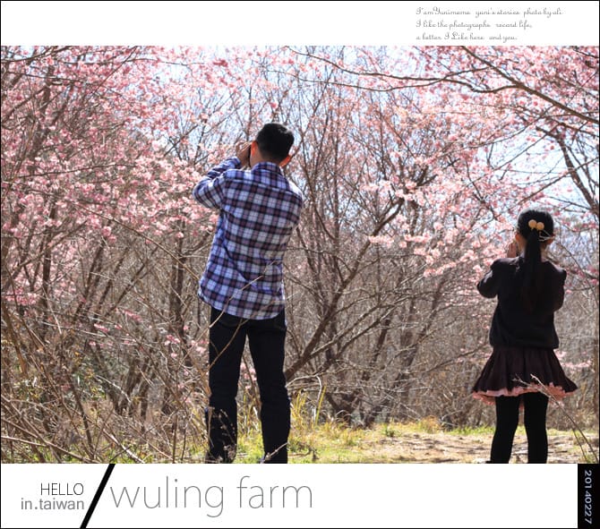 20140227武陵農場│遲而美的櫻花宴 - 第67張圖 20140227武陵農場│遲而美的櫻花宴