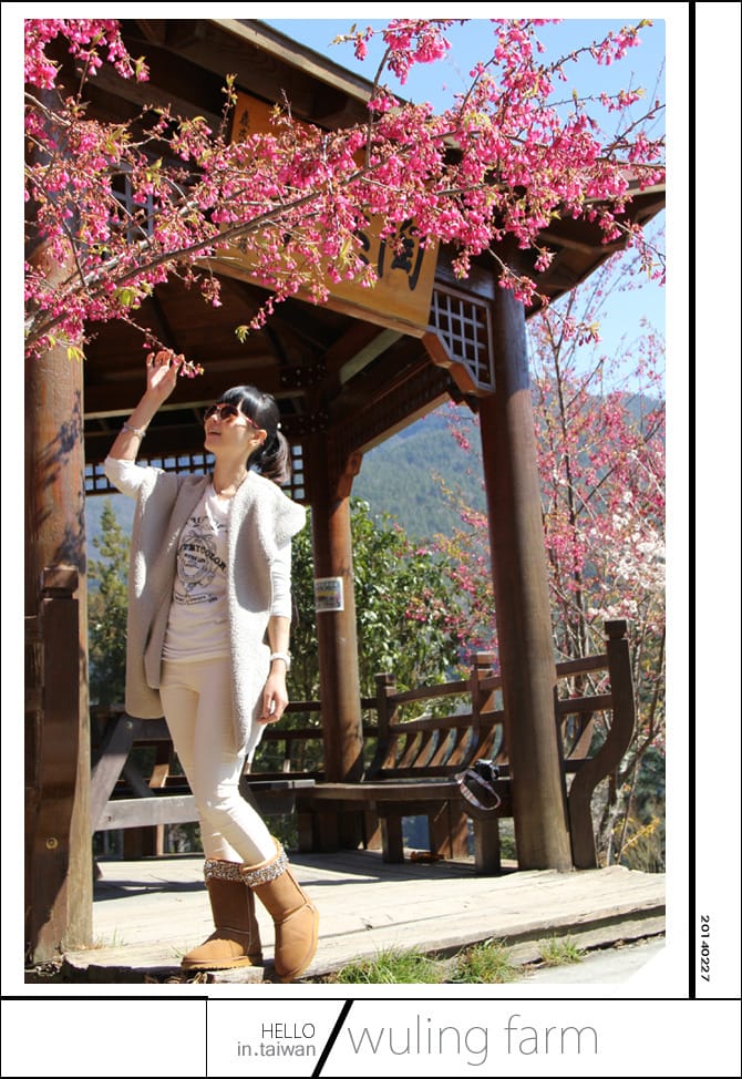 20140227武陵農場│遲而美的櫻花宴 - 第84張圖 20140227武陵農場│遲而美的櫻花宴