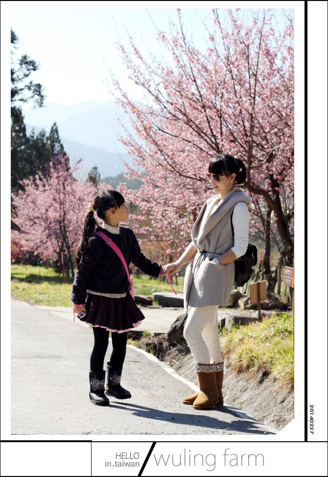 20140227武陵農場│遲而美的櫻花宴 - 第23張圖 20140227武陵農場│遲而美的櫻花宴