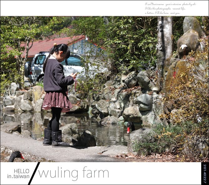 20140227武陵農場│遲而美的櫻花宴 - 第124張圖 20140227武陵農場│遲而美的櫻花宴