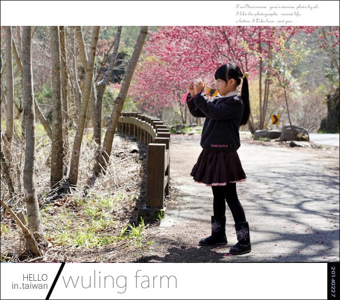 20140227武陵農場│遲而美的櫻花宴 - 第55張圖 20140227武陵農場│遲而美的櫻花宴