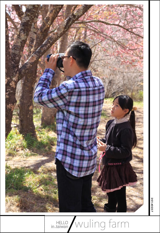 20140227武陵農場│遲而美的櫻花宴 - 第71張圖 20140227武陵農場│遲而美的櫻花宴