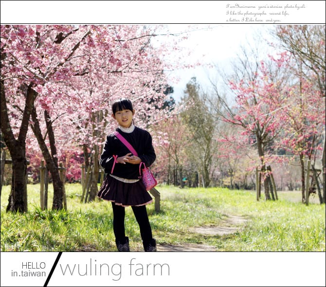 20140227武陵農場│遲而美的櫻花宴 - 第35張圖 20140227武陵農場│遲而美的櫻花宴