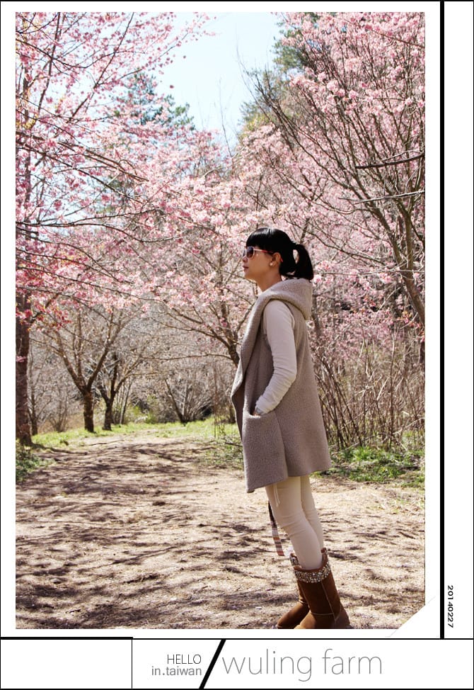 20140227武陵農場│遲而美的櫻花宴 - 第58張圖 20140227武陵農場│遲而美的櫻花宴