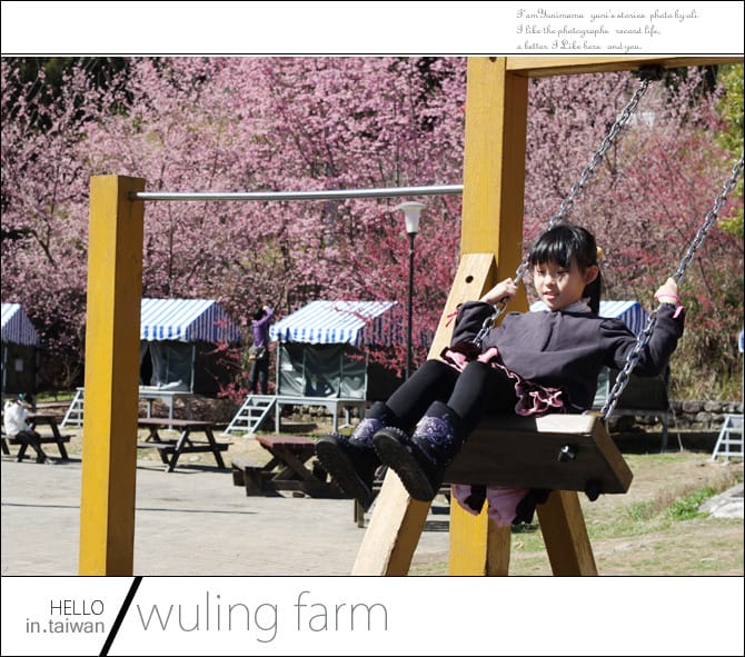 20140227武陵農場│遲而美的櫻花宴 - 第107張圖 20140227武陵農場│遲而美的櫻花宴