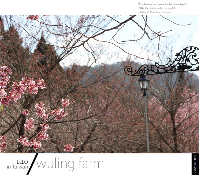 20140227武陵農場│遲而美的櫻花宴 - 第143張圖 20140227武陵農場│遲而美的櫻花宴