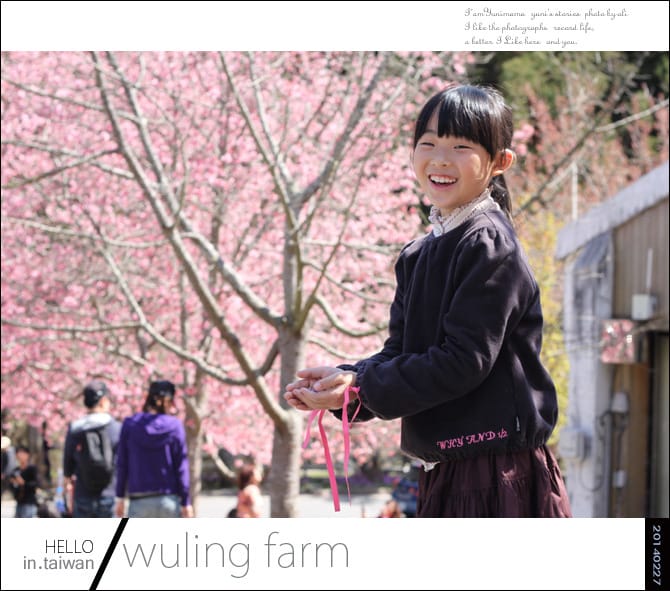 20140227武陵農場│遲而美的櫻花宴 - 第146張圖 20140227武陵農場│遲而美的櫻花宴