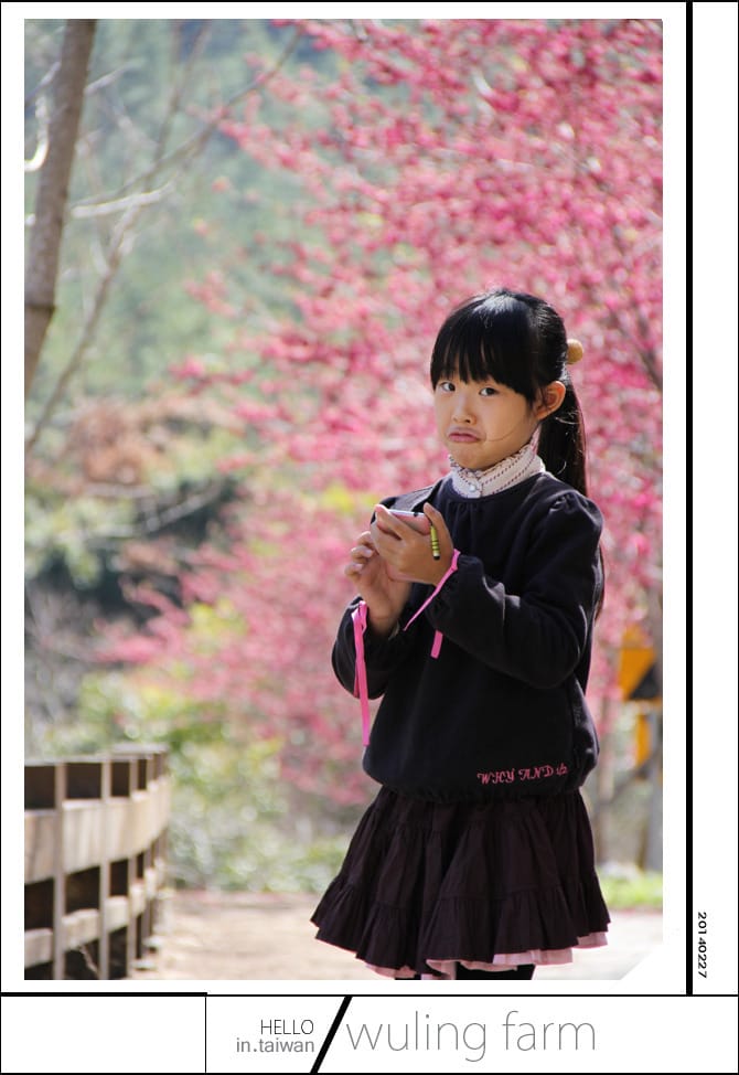 20140227武陵農場│遲而美的櫻花宴 - 第52張圖 20140227武陵農場│遲而美的櫻花宴