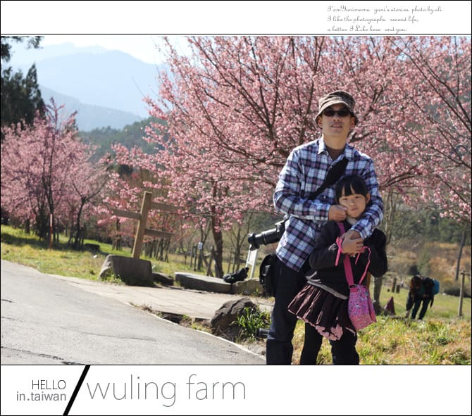 20140227武陵農場│遲而美的櫻花宴 - 第24張圖 20140227武陵農場│遲而美的櫻花宴