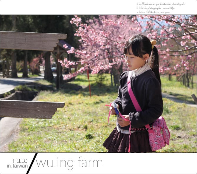 20140227武陵農場│遲而美的櫻花宴 - 第26張圖 20140227武陵農場│遲而美的櫻花宴