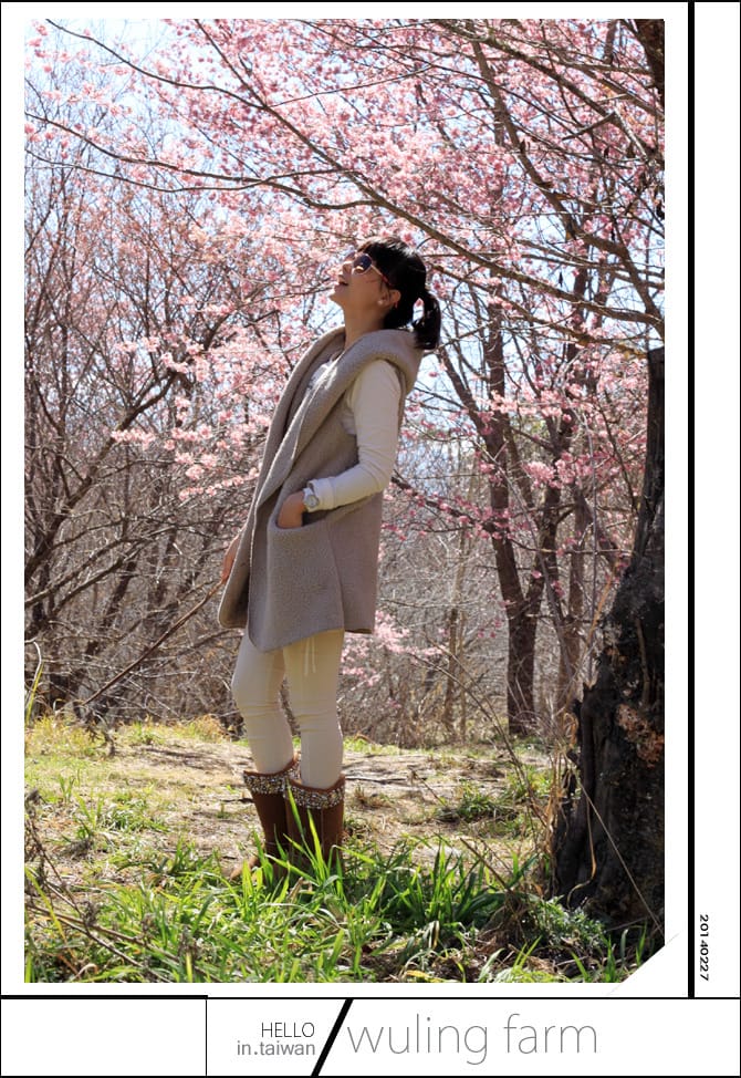 20140227武陵農場│遲而美的櫻花宴 - 第61張圖 20140227武陵農場│遲而美的櫻花宴
