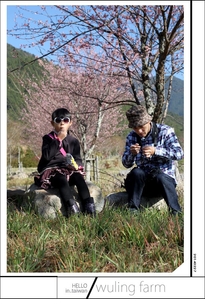 20140227武陵農場│遲而美的櫻花宴 - 第17張圖 20140227武陵農場│遲而美的櫻花宴