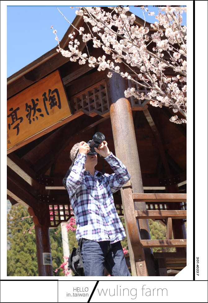 20140227武陵農場│遲而美的櫻花宴 - 第102張圖 20140227武陵農場│遲而美的櫻花宴