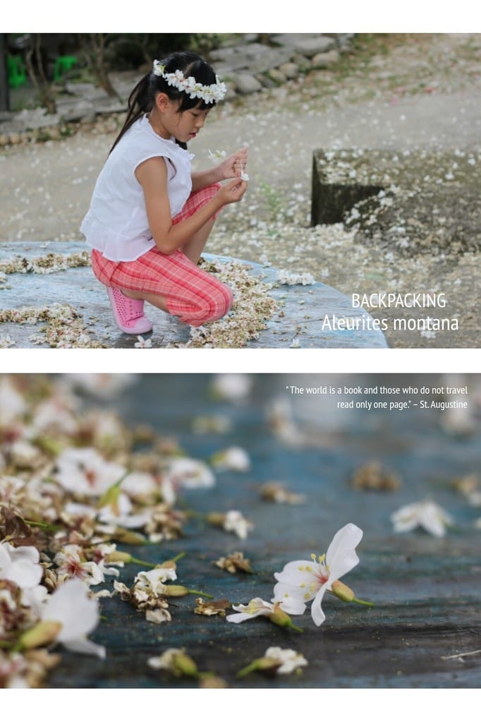2014桐花梧語：十一指古道│隨遇而安的苗栗遊