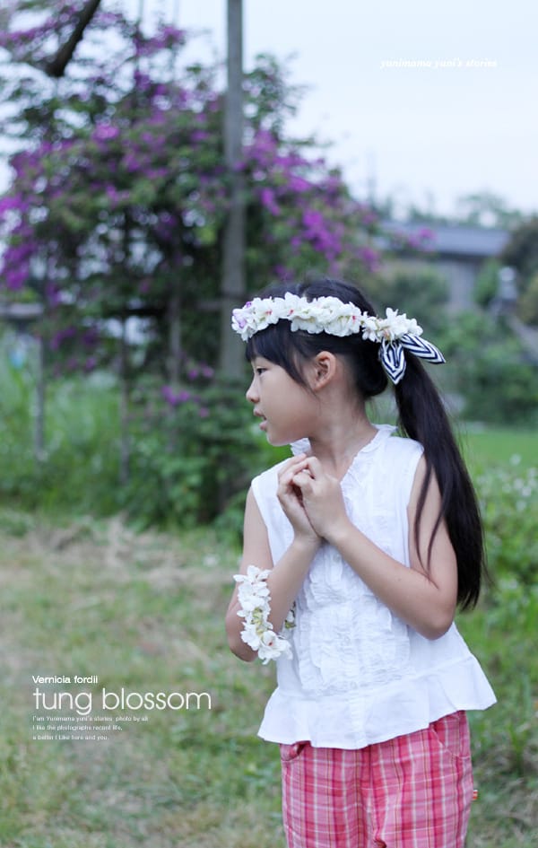 2014桐花梧語：十一指古道│隨遇而安的苗栗遊