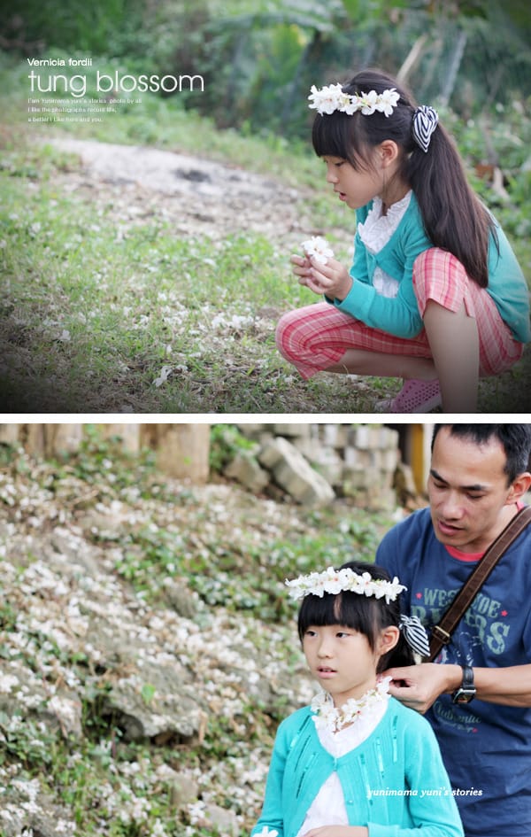 2014桐花梧語：十一指古道│隨遇而安的苗栗遊
