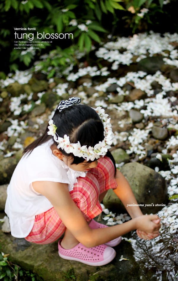 2014桐花梧語：十一指古道│隨遇而安的苗栗遊