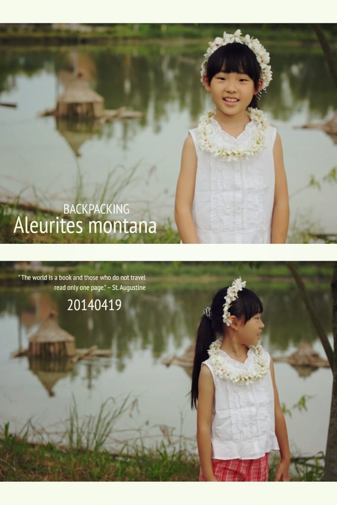 2014桐花梧語：十一指古道│隨遇而安的苗栗遊