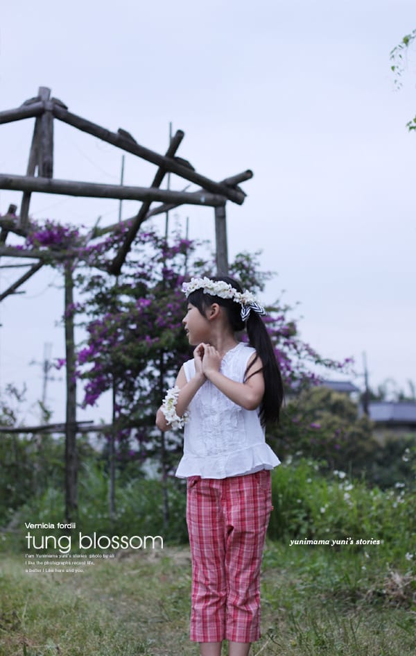 2014桐花梧語：十一指古道│隨遇而安的苗栗遊