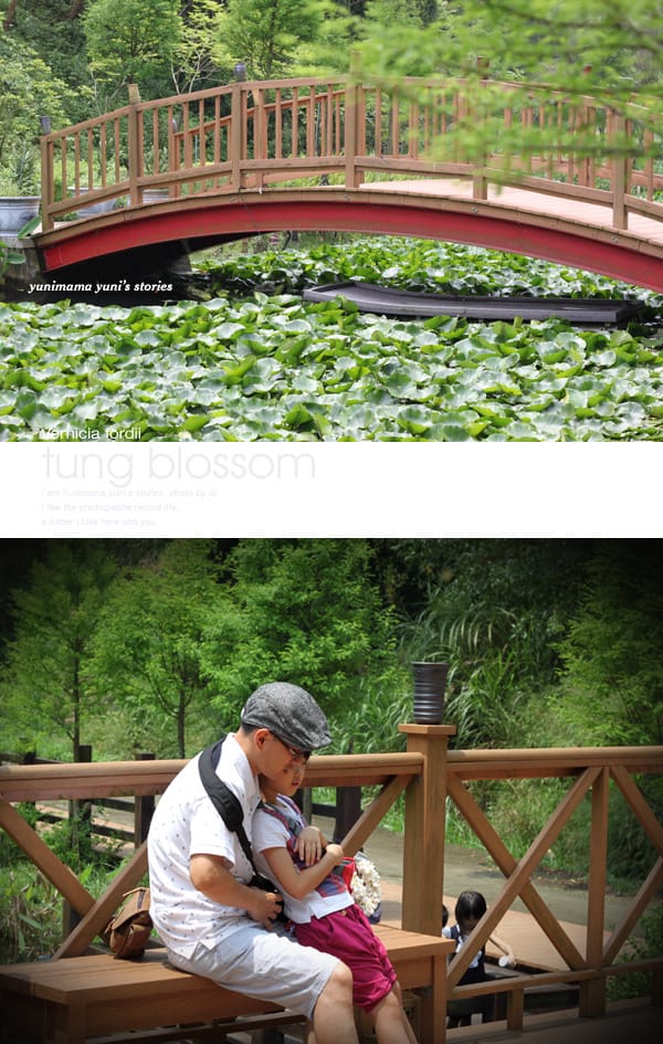 2014桐花梧語：十一指古道│隨遇而安的苗栗遊