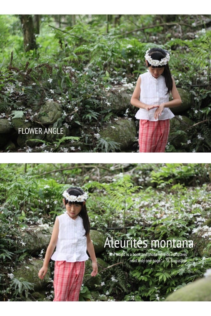 2014桐花梧語：十一指古道│隨遇而安的苗栗遊
