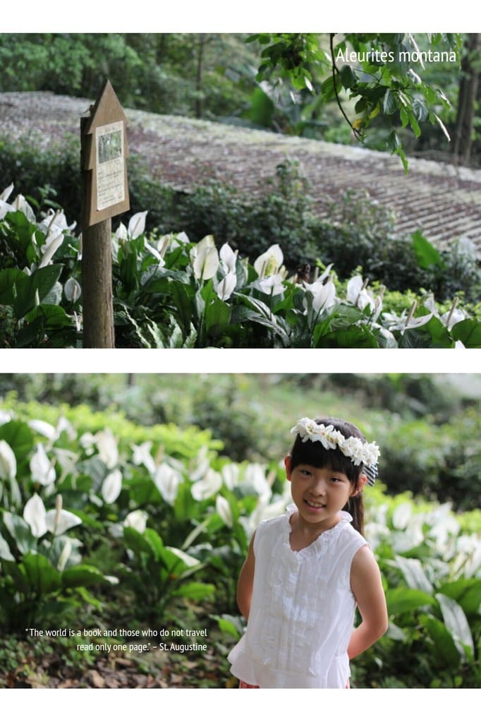 2014桐花梧語：十一指古道│隨遇而安的苗栗遊