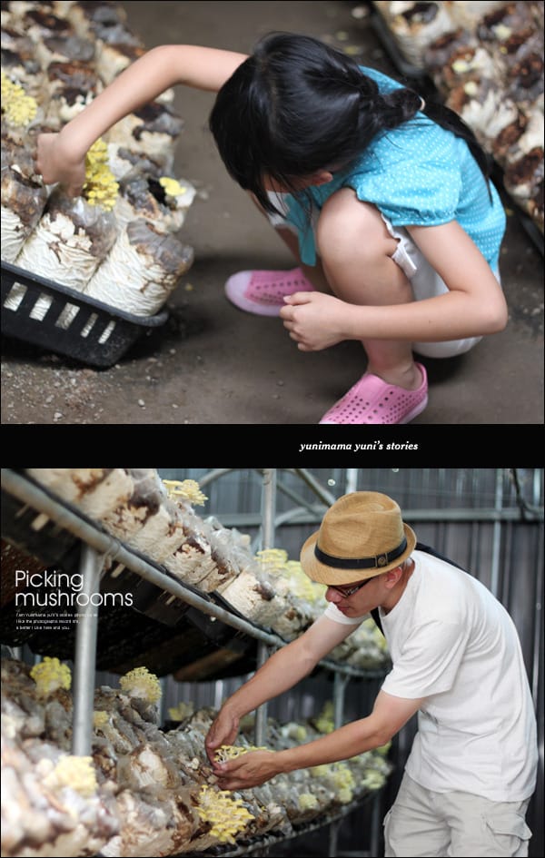 0428│安妮公主花園之當公主好辛苦│採菇:菇樂園 - 第92張圖 0428│安妮公主花園之當公主好辛苦│採菇:菇樂園