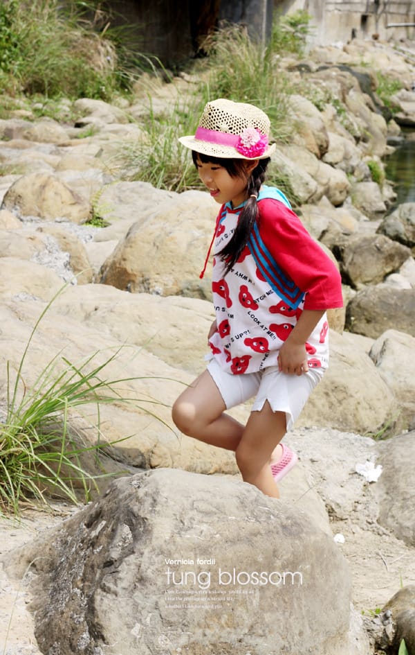 0428│安妮公主花園之當公主好辛苦│採菇:菇樂園 - 第81張圖 0428│安妮公主花園之當公主好辛苦│採菇:菇樂園