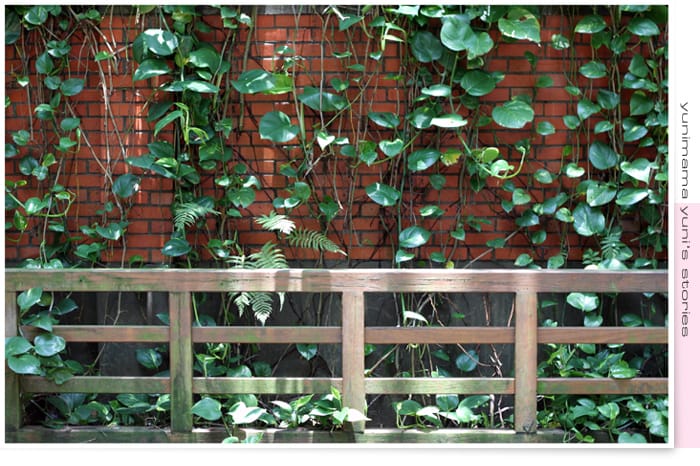 2014:快樂小三生活│碎念│桃園神社│虎頭山│後花園 - 第52張圖 2014:快樂小三生活│碎念│桃園神社│虎頭山│後花園