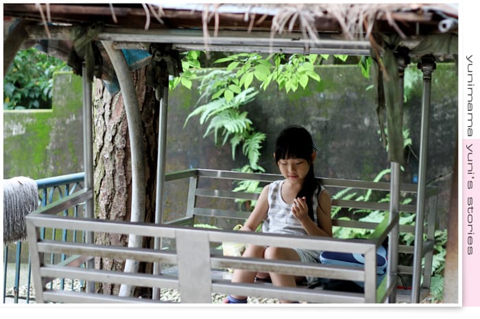 2014:快樂小三生活│碎念│桃園神社│虎頭山│後花園 - 第7張圖 2014:快樂小三生活│碎念│桃園神社│虎頭山│後花園