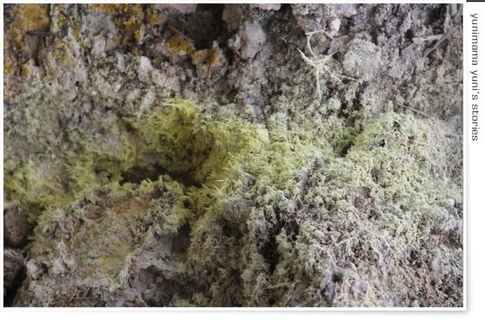 七星山│地熱沸騰的小油坑登山口 - 第36張圖 七星山│地熱沸騰的小油坑登山口