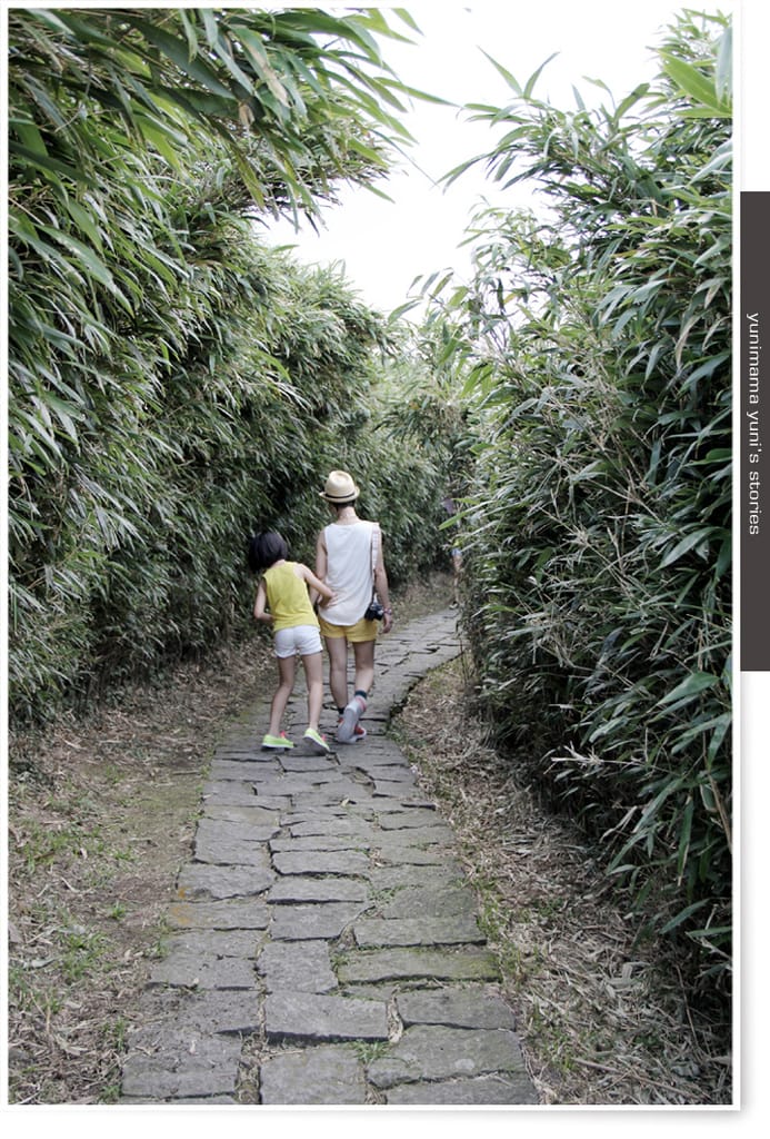 七星山│地熱沸騰的小油坑登山口 - 第44張圖 七星山│地熱沸騰的小油坑登山口