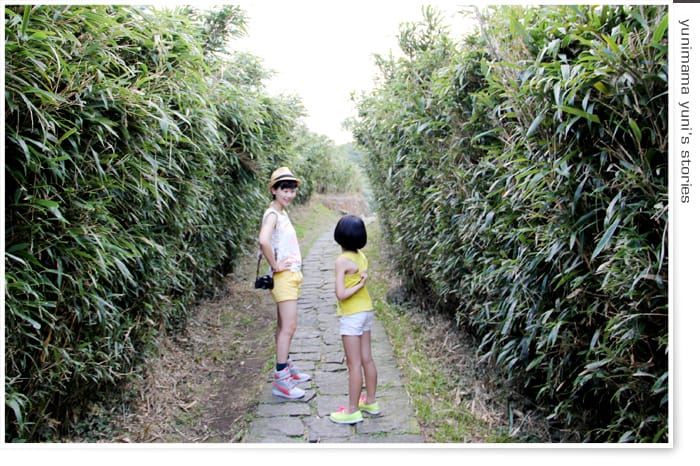七星山│地熱沸騰的小油坑登山口 - 第16張圖 七星山│地熱沸騰的小油坑登山口
