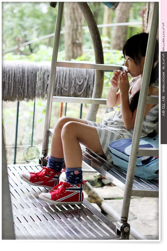 2014:快樂小三生活│碎念│桃園神社│虎頭山│後花園 - 第8張圖 2014:快樂小三生活│碎念│桃園神社│虎頭山│後花園