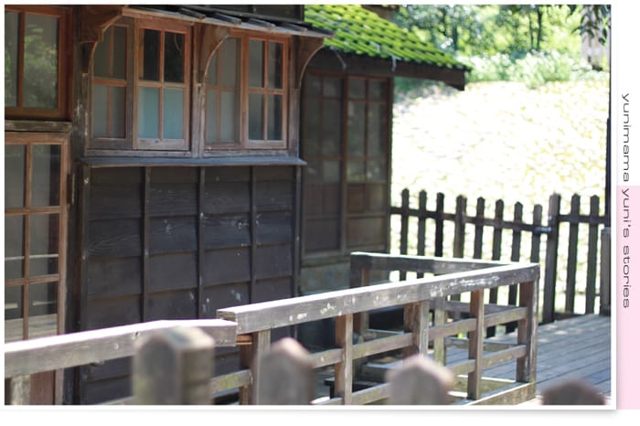 2014:快樂小三生活│碎念│桃園神社│虎頭山│後花園 - 第46張圖 2014:快樂小三生活│碎念│桃園神社│虎頭山│後花園