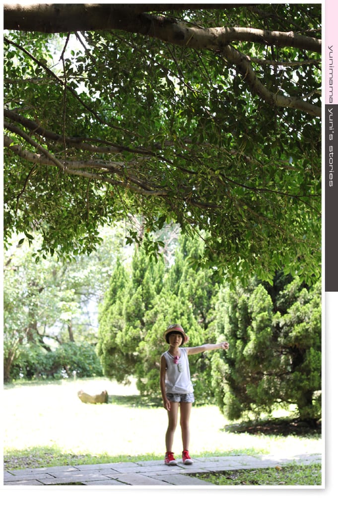 2014:快樂小三生活│碎念│桃園神社│虎頭山│後花園 - 第50張圖 2014:快樂小三生活│碎念│桃園神社│虎頭山│後花園