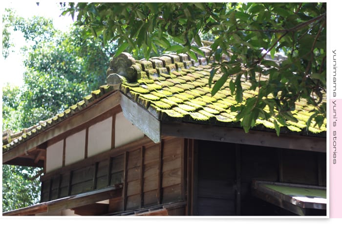 2014:快樂小三生活│碎念│桃園神社│虎頭山│後花園 - 第47張圖 2014:快樂小三生活│碎念│桃園神社│虎頭山│後花園