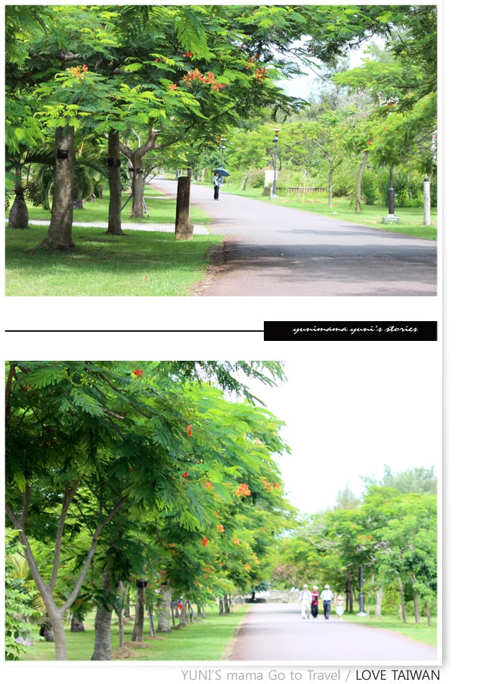 台東VS.綠島} D2-1│台東森林公園鴛鴦湖.豐源國小 - 第20張圖 台東VS.綠島} D2-1│台東森林公園鴛鴦湖.豐源國小